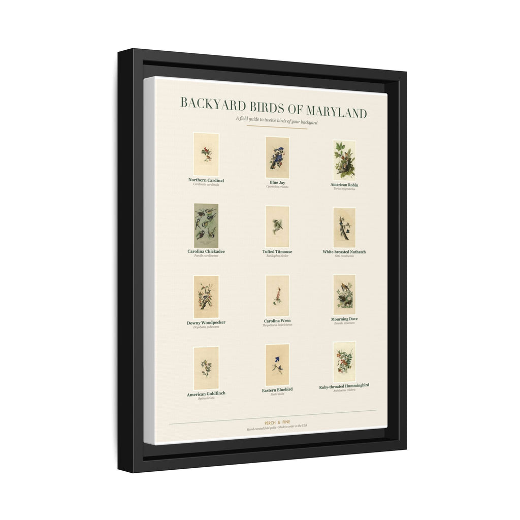 Backyard Birds of Maryland — Framed Canvas Bird Identification Print