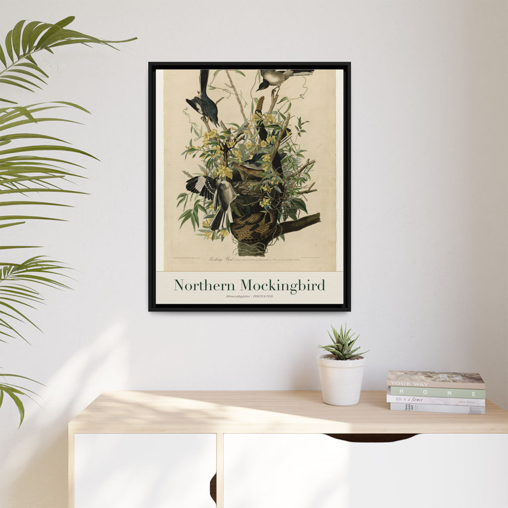 Northern Mockingbird — Framed Canvas Bird Print