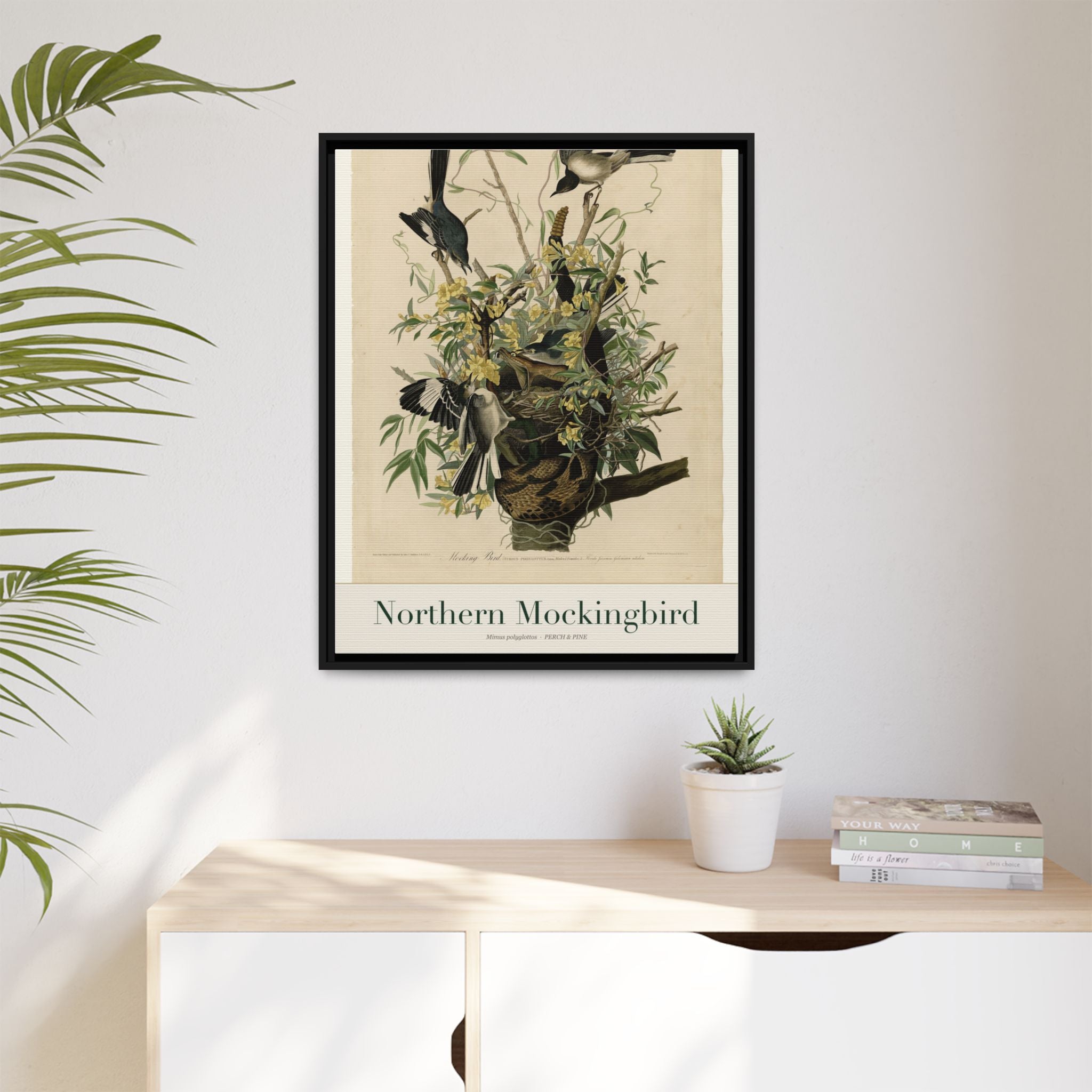 Northern Mockingbird — Framed Canvas Bird Print