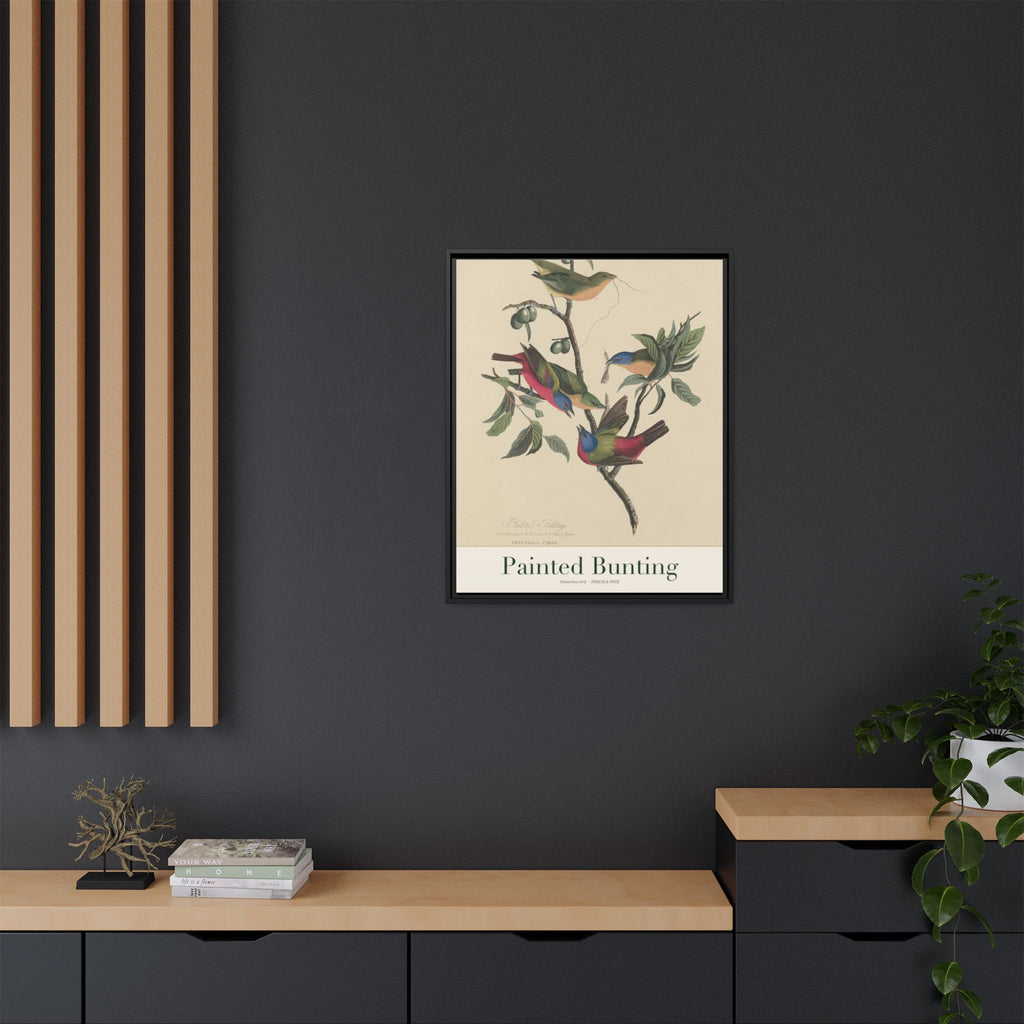 Painted Bunting — Framed Canvas Bird Print