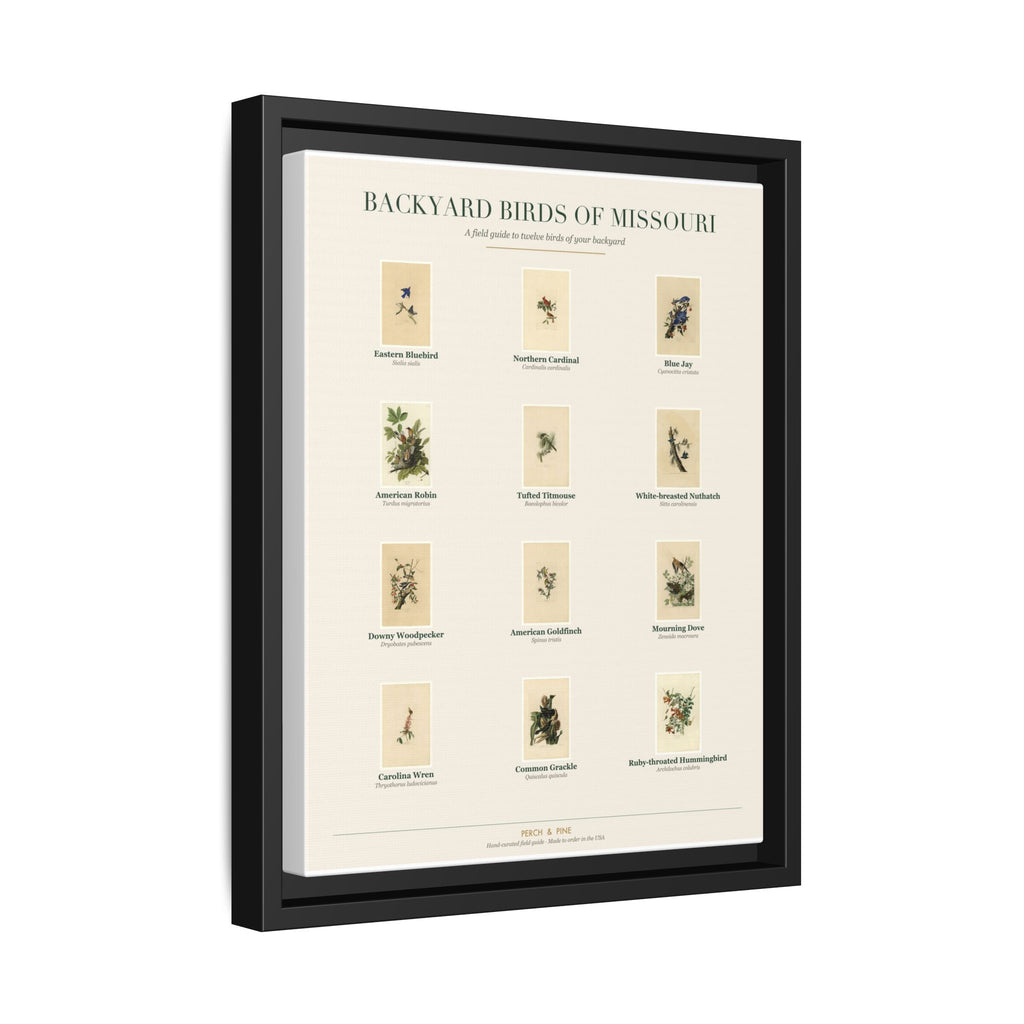 Backyard Birds of Missouri — Framed Canvas Bird Identification Print