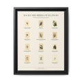 Illinois bird field guide wall art — gallery-wrapped canvas | Perch & Pine