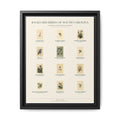 South Carolina bird field guide wall art — gallery-wrapped canvas | Perch & Pine