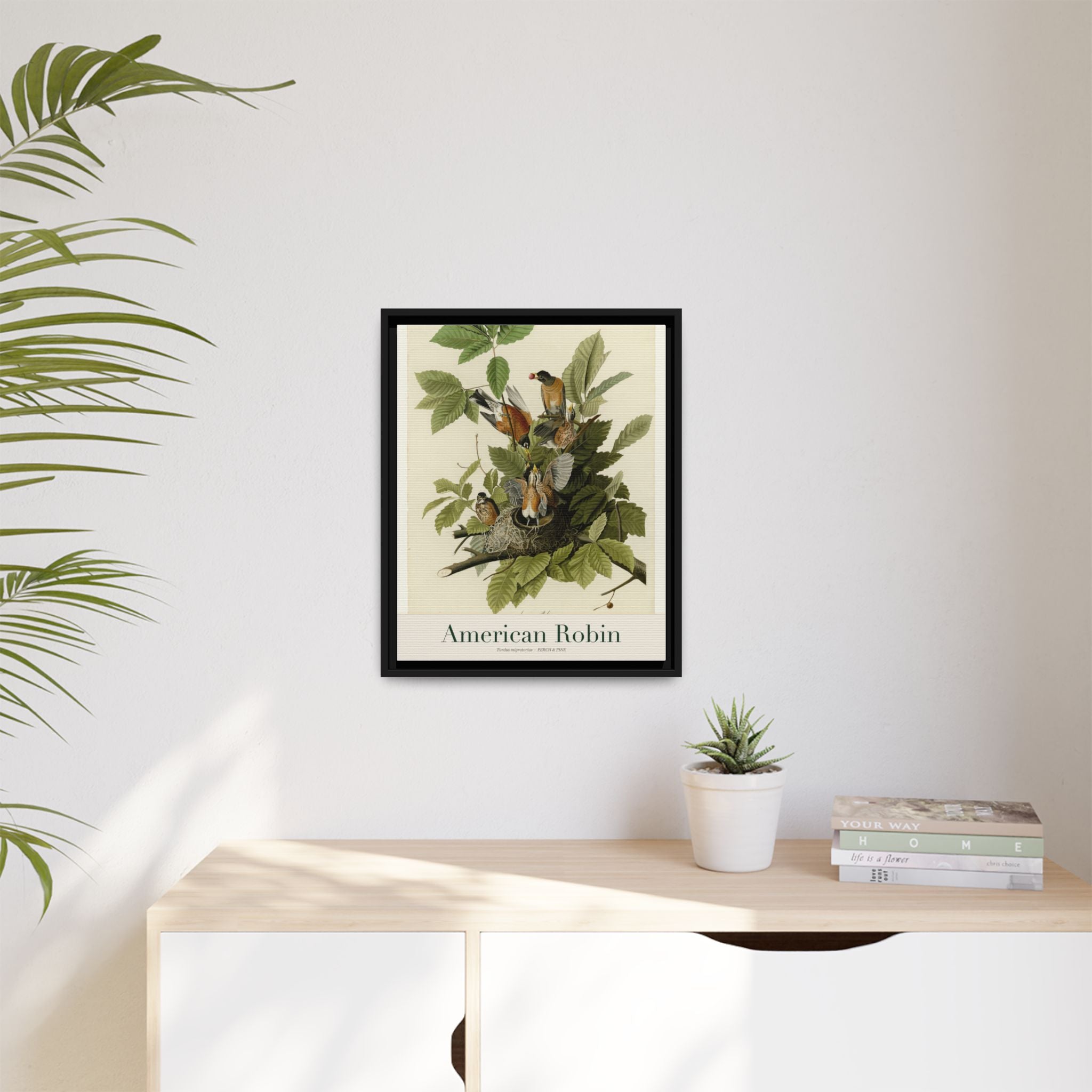American Robin heritage bird portrait, framed canvas | Perch & Pine