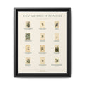 Tennessee bird field guide wall art — gallery-wrapped canvas | Perch & Pine