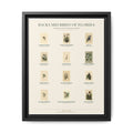 Florida bird field guide wall art — gallery-wrapped canvas | Perch & Pine
