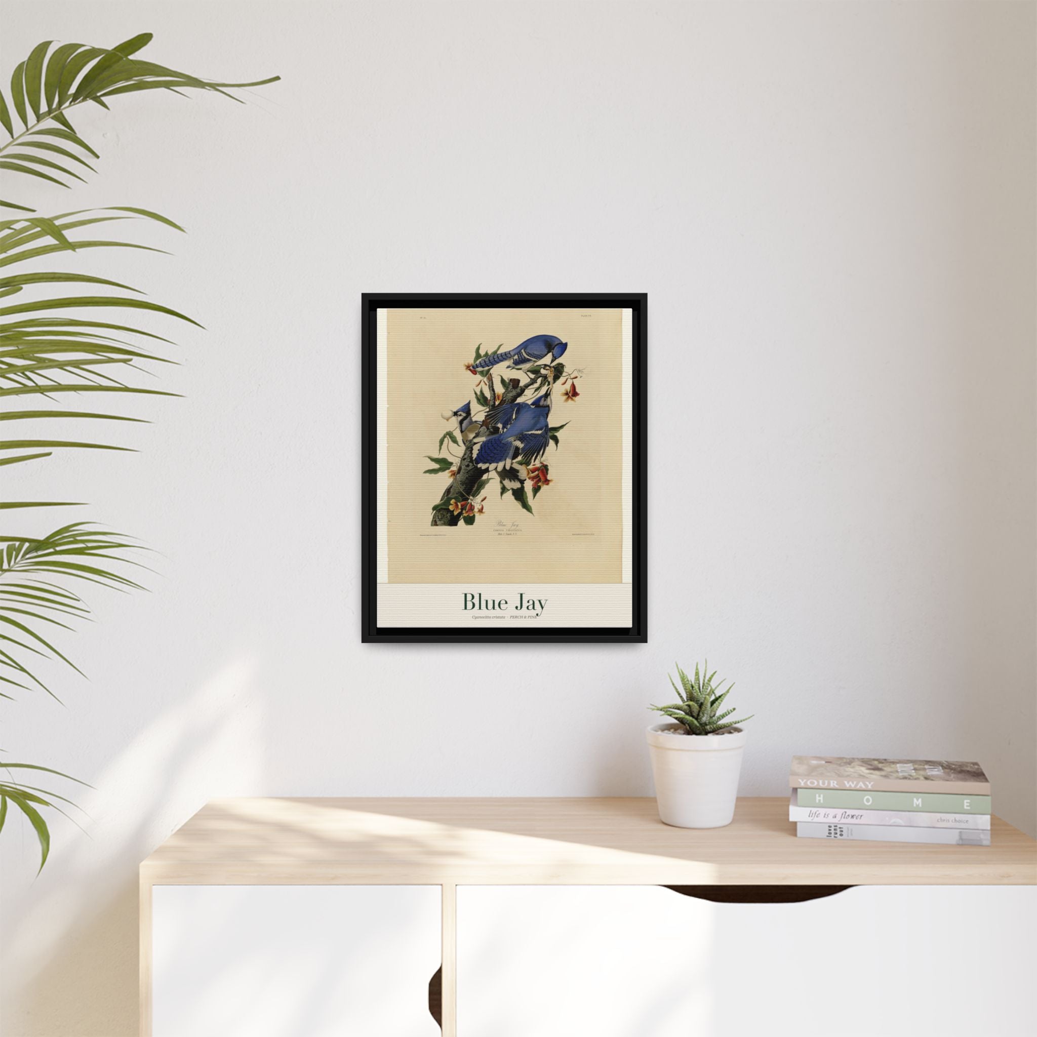 Blue Jay heritage bird portrait, framed canvas | Perch & Pine