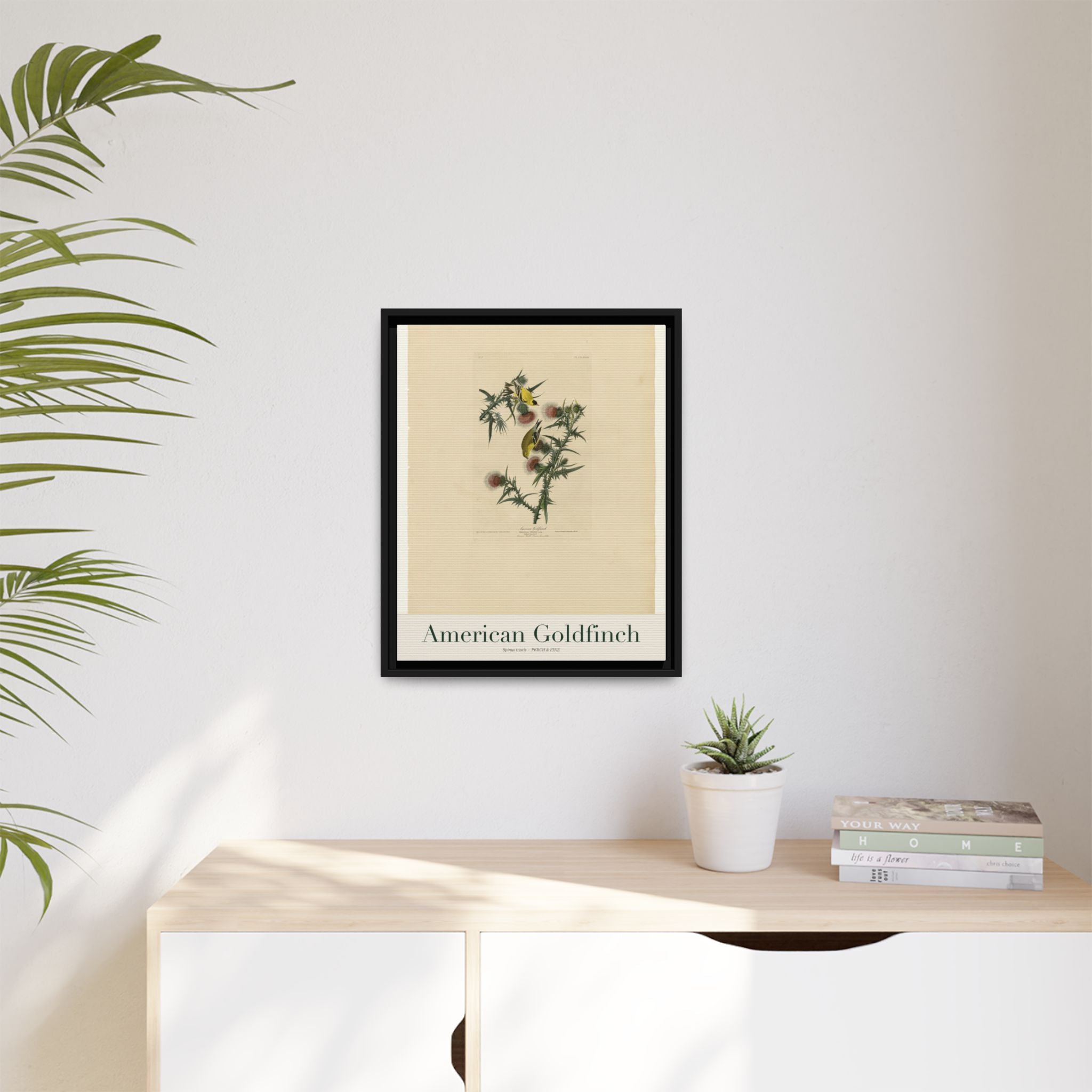 American Goldfinch heritage bird portrait, framed canvas | Perch & Pine