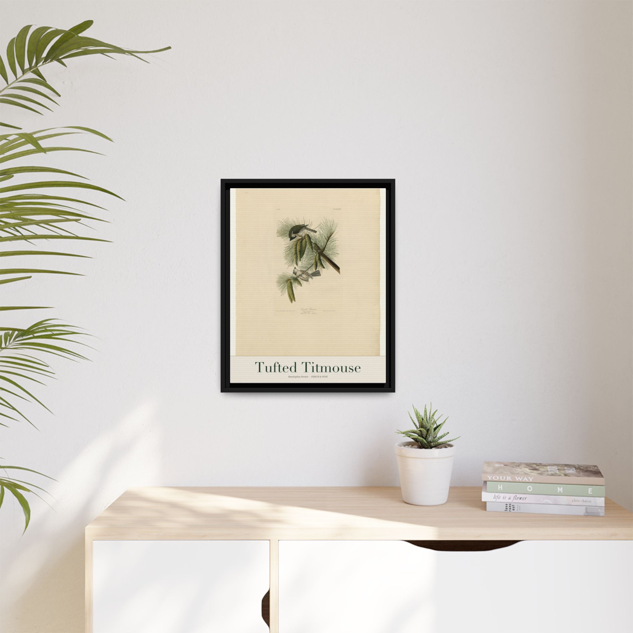 Tufted Titmouse heritage bird portrait, framed canvas | Perch & Pine