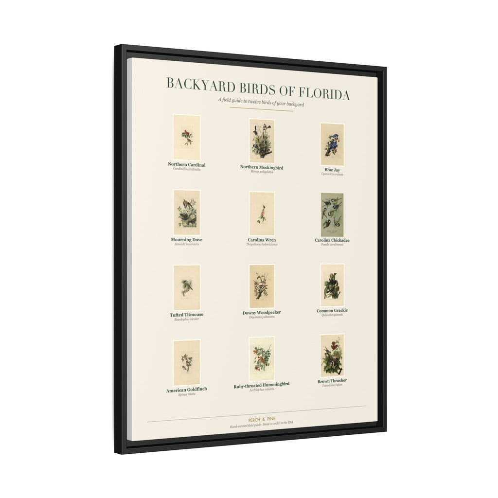 Backyard Birds of Florida Framed Canvas Wall Art Print