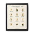 Ohio bird field guide wall art — gallery-wrapped canvas | Perch & Pine