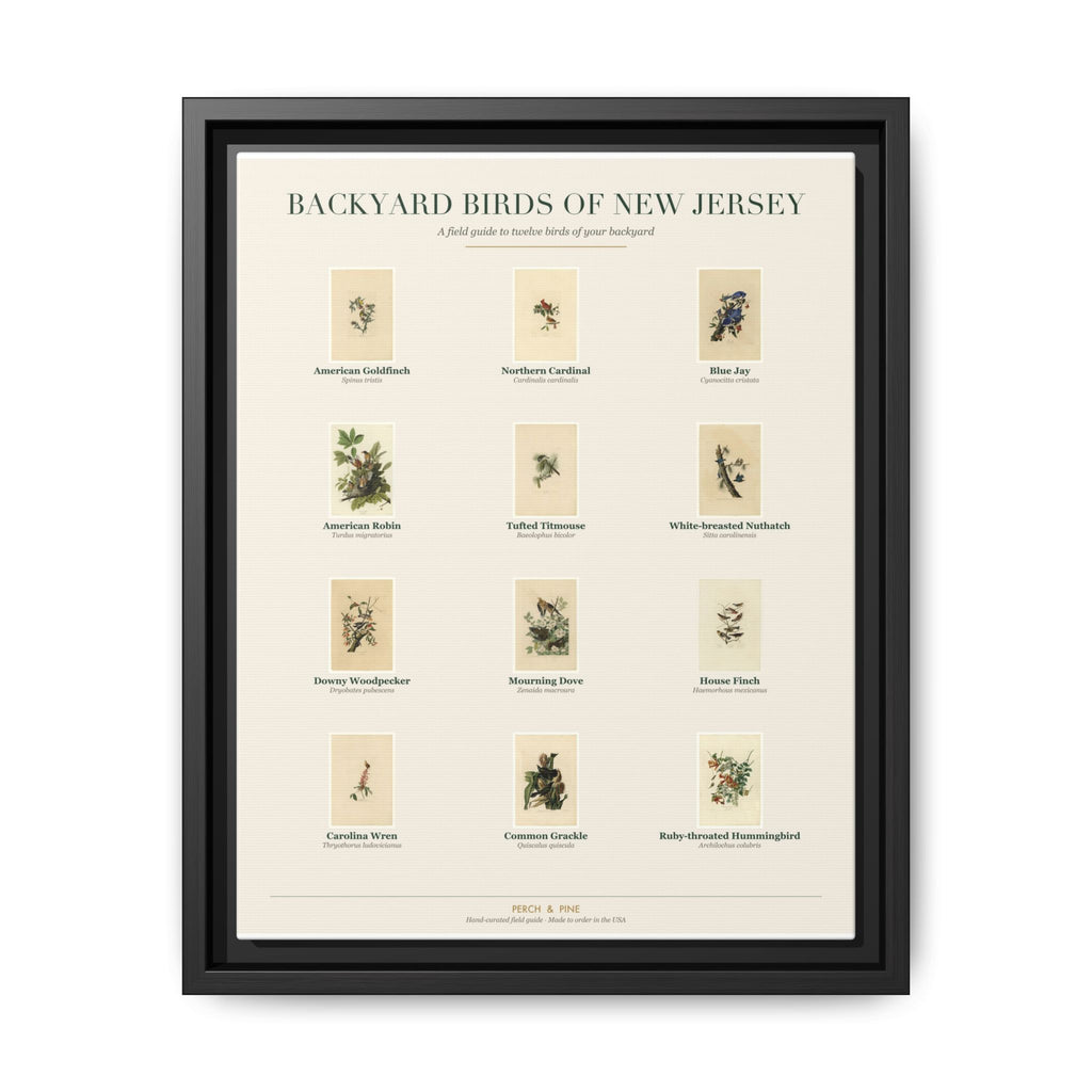 New Jersey bird field guide wall art — gallery-wrapped canvas | Perch & Pine