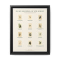 New Jersey bird field guide wall art — gallery-wrapped canvas | Perch & Pine