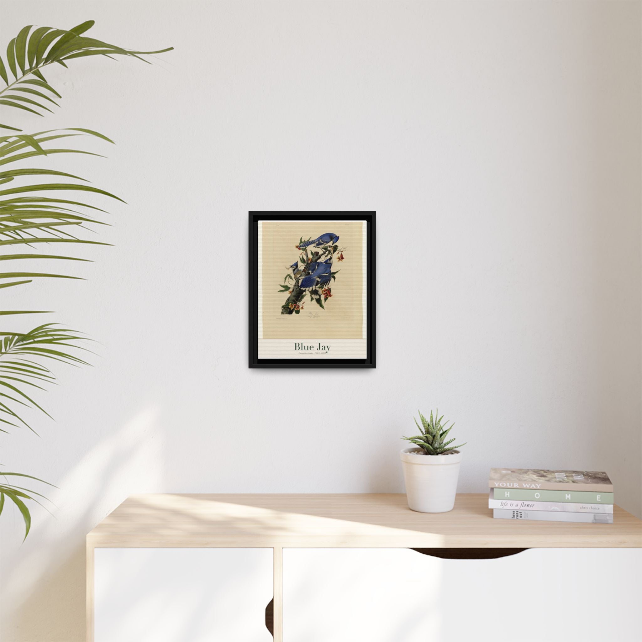 Blue Jay — Framed Canvas Bird Print