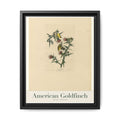 American Goldfinch bird wall art — gallery-wrapped canvas | Perch & Pine
