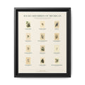 Michigan bird field guide wall art — gallery-wrapped canvas | Perch & Pine