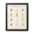 Wisconsin bird field guide wall art — gallery-wrapped canvas | Perch & Pine
