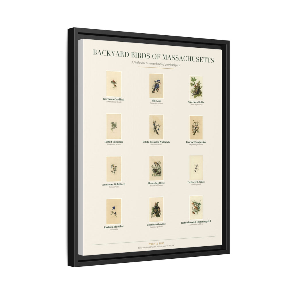 Massachusetts backyard birds print, species labeled by name | Perch & Pine
