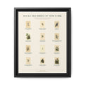 New York bird field guide wall art — gallery-wrapped canvas | Perch & Pine