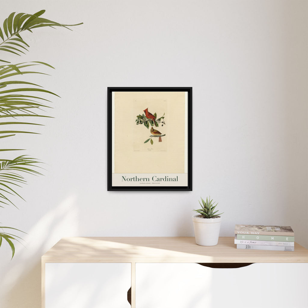 Northern Cardinal heritage bird portrait, framed canvas | Perch & Pine