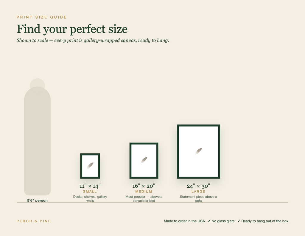 Print size guide — frame sizes shown to scale | Perch & Pine